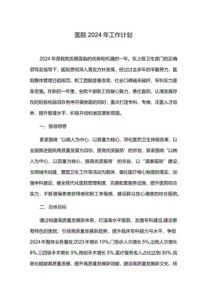 医院2024年工作计划.docx