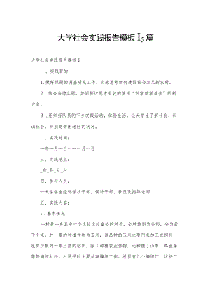 大学社会实践报告模板15篇.docx