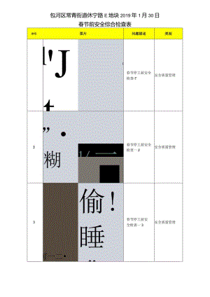 包河区休宁路E地块项目安全综合检查2019年1月30日.docx