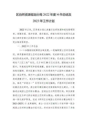 区自然资源规划分局2022年度工作总结及2023年工作计划.docx