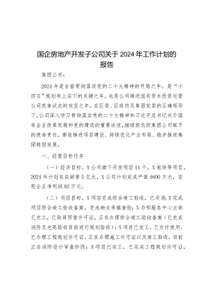 国企房地产开发子公司关于2024年工作计划的报告&在公文处理暨《中办通讯》《秘书工作》座谈会上的发言.docx