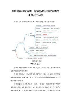 临床瘙痒诱发因素、发病机制与危险因素及评估治疗流程.docx