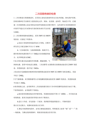 二次回路绝缘的检查.docx