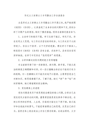 形式主义官僚主义专项整治工作自查报告.docx