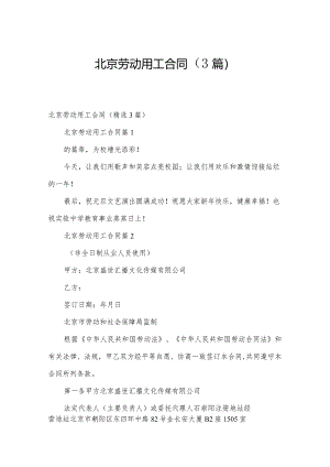 北京劳动用工合同（3篇）.docx