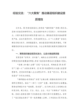 经验交流：“六大聚焦”推动基层组织建设提质增效.docx