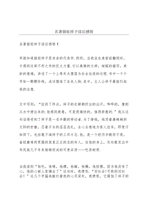 名著《骆驼祥子》读后感悟.docx