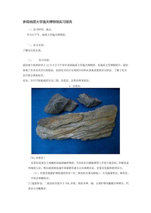 参观地质大学逸夫博物馆实习报告.docx
