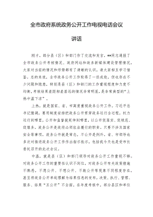 全市政府系统政务公开工作电视电话会议讲话.docx
