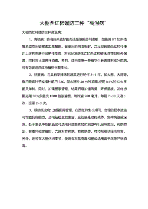 大棚西红柿谨防三种“高温病”.docx