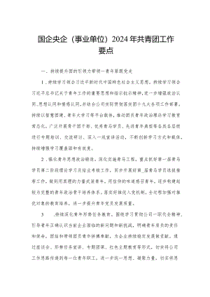 国企央企（事业单位）2024年共青团工作要点.docx
