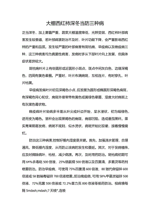 大棚西红柿深冬当防三种病.docx
