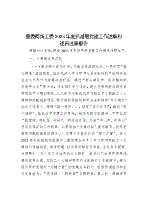 县委两新工委2023年度抓基层党建工作述职和述责述廉报告&镇2023年度生态环境保护工作开展情况的报告.docx