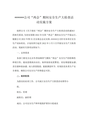 公司“两会”期间安全生产大检查活动方案.docx