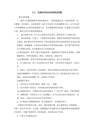 十三、批量伤员的应急预案流程图.docx