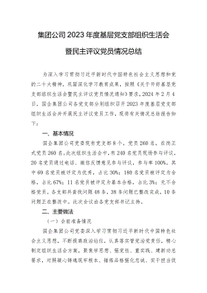 集团公司2023年度基层党支部组织生活会暨民主评议党员情况总结.docx