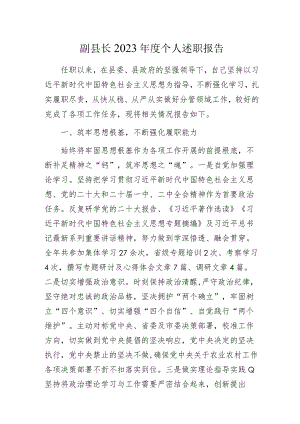 副县长2023年度个人述职报告范文.docx