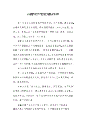 小额贷款公司贷款期限和利率.docx