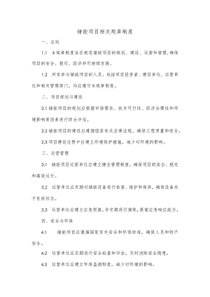 储能项目相关规章制度.docx