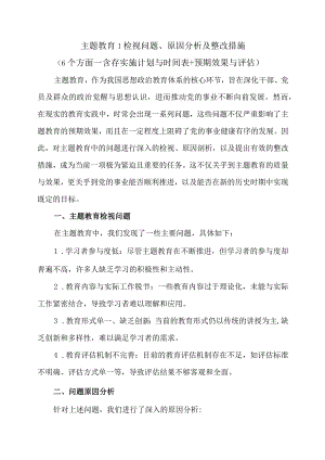主题教育检视问题、原因分析及整改措施（6个方面→含存实施计划与时间表预期效果与评估）.docx