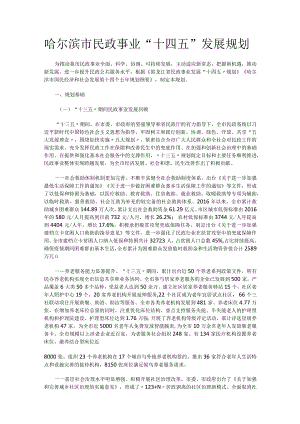 哈尔滨市民政事业“十四五”发展规划.docx