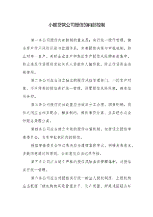 小额贷款公司授信的内部控制.docx