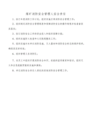消防安全管理人安全责任.docx