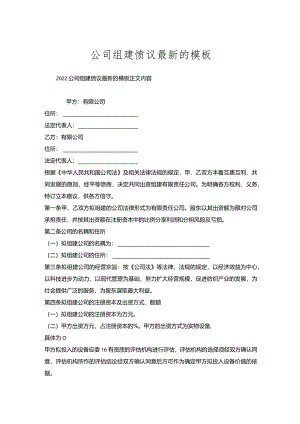公司组建协议模板.docx