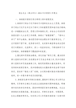 国企央企（事业单位）2024年共青团工作要点.docx