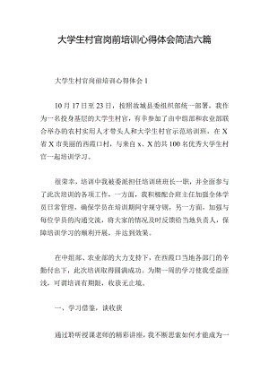 大学生村官岗前培训心得体会简洁六篇.docx