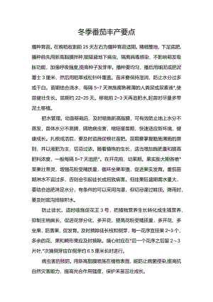 冬季番茄丰产要点.docx