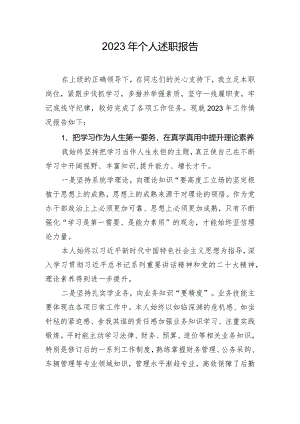 2023年个人述职报告.docx