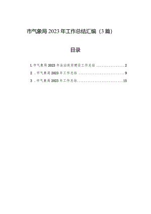 市气象局2023年工作总结（3篇）.docx