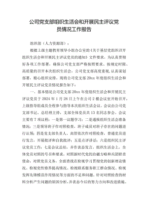 公司党支部组织生活会和开展民主评议党员情况工作报告.docx