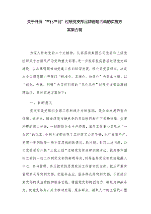 关于开展“三化三创”过硬党支部品牌创建活动的实施方案集合篇.docx