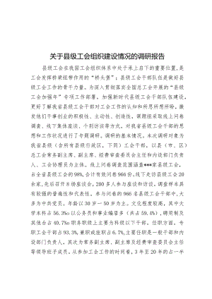 关于县级工会组织建设情况的调研报告&牢牢把握新时代新的文化使命.docx