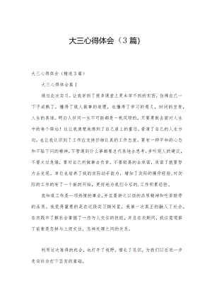 大三心得体会（3篇）.docx