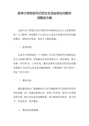县审计局党组书记民主生活会突出问题专项整改方案.docx
