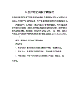 当前注意防治番茄脐腐病.docx