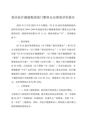 某区医疗健康集团部门整体支出绩效评价报告.docx