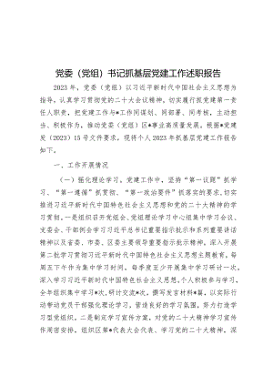 党委（党组）书记抓基层党建工作述职报告&与网民互动情况交流发言.docx