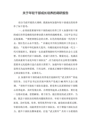 关于年轻干部成长培养的调研报告.docx