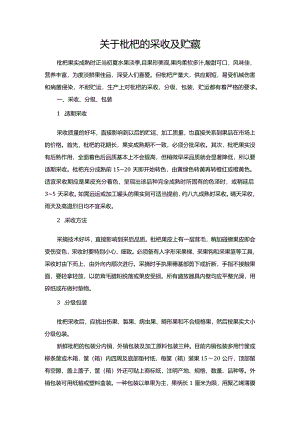 关于枇杷的采收及贮藏.docx