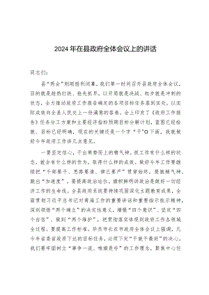 在2024年县政府全体会议上的讲话.docx