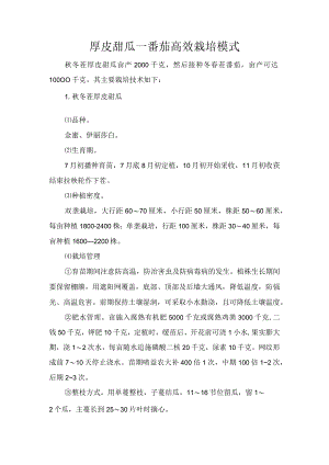 厚皮甜瓜—番茄高效栽培模式.docx