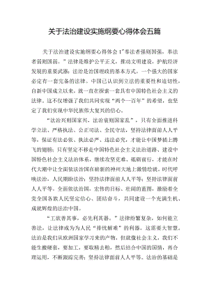 关于法治建设实施纲要心得体会五篇.docx