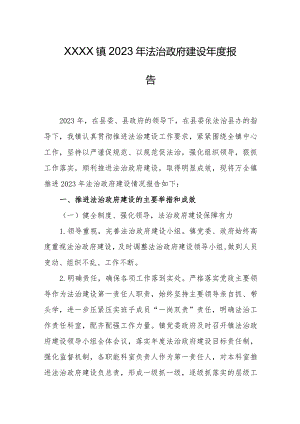 乡镇2023年法治政府建设年度报告.docx