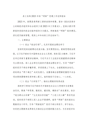 县工信局2023年抓“两新”党建工作述职报告.docx
