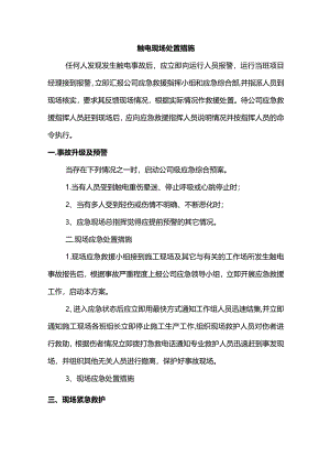 触电现场处置措施.docx