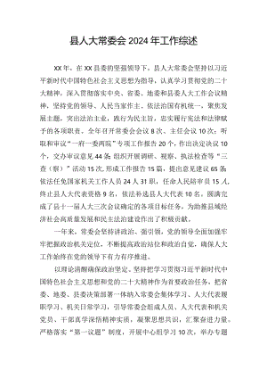 县人大常委会2024年工作综述.docx